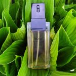 عطر ادکلن سانگ الفرد سونگ - Sung Alfred Sung - بررسی، قیمت و خرید