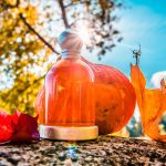 عطر ادکلن هالووین سان هالووین - Halloween Sun Halloween - بررسی، قیمت و خرید