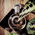 عطر ادکلن شَنان ام میکالف - Shanaan M. Micallef - بررسی، قیمت و خرید