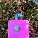 عطر ادکلن بلاسام لاو آمواژ - Blossom Love Amouage - بررسی، قیمت و خرید