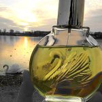 عطر ادکلن ژاردن این نیویورک گلوریا وندربیلت - Jardin a New York Gloria Vanderbilt - بررسی، قیمت و خرید