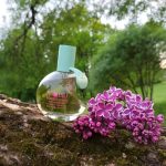 عطر ادکلن ماتسو ماساکی ماتسوشیما - Matsu Masaki Matsushima - بررسی، قیمت و خرید