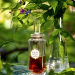 عطر ادکلن پوا دو سانتور کارون - Pois de Senteur Caron - بررسی، قیمت و خرید