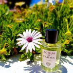 عطر ادکلن اکوا دی پارما کلونیا آکوا دی پارما - Acqua di Parma Colonia Acqua di Parma - بررسی، قیمت و خرید