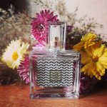 عطر ادکلن لیتل بلک درِس ایوون - Little Black Dress Avon - بررسی، قیمت و خرید