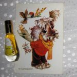 عطر ادکلن میموزا دیلیس پارفوم - Mimoza Dilís Parfum - بررسی، قیمت و خرید