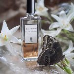 عطر ادکلن نویت د سلوفان سرژ لوتن - Nuit de Cellophane Serge Lutens - بررسی، قیمت و خرید