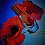 عطر ادکلن کراسنئ ماک دیلیس پرفیوم - Krasny Mak Dilís Parfum - بررسی، قیمت و خرید