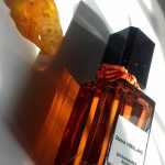عطر ادکلن اِکستراوگَنس روس دایانا وریلند - Extravagance Russe Diana Vreeland - بررسی، قیمت و خرید