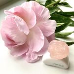 عطر ادکلن پی‌وین ایو روشه - Pivoine Yves Rocher - بررسی، قیمت و خرید