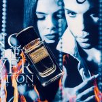 عطر ادکلن ولوت پاچولی دولچه اند گابانا - Velvet Patchouli Dolce&Gabbana - بررسی، قیمت و خرید