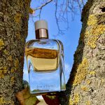 عطر ادکلن ژور د هرمس ابسولو اِرمِس - Jour d'Hermes Absolu Hermès - بررسی، قیمت و خرید
