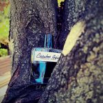 عطر ادکلن شمبروار اُلفکتیو استودیو - Chambre Noire Olfactive Studio - بررسی، قیمت و خرید