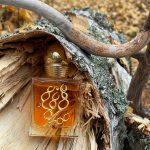عطر ادکلن له کواتغ سیزون: اُتمن م. میکالف - Les 4 Saisons: Automne M. Micallef - بررسی، قیمت و خرید