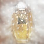 عطر ادکلن آیریس تیوبروز کرید - Iris Tuberose Creed - بررسی، قیمت و خرید