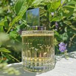 عطر ادکلن ایلیسیت جیمی چو - Illicit Jimmy Choo - بررسی، قیمت و خرید