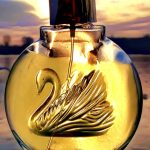 عطر ادکلن ژاردن این نیویورک گلوریا وندربیلت - Jardin a New York Gloria Vanderbilt - بررسی، قیمت و خرید