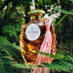 عطر ادکلن روز پوشن ترنپ - Rose Potion TRNP - بررسی، قیمت و خرید