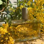 عطر ادکلن میموسا فراگنارد - Mimosa Fragonard - بررسی، قیمت و خرید