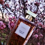 عطر ادکلن اِتا دو گراس گرس - État de Grace Grès - بررسی، قیمت و خرید