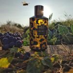 عطر ادکلن وایلد لدر منسرا - Wild Leather Mancera - بررسی، قیمت و خرید