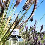 عطر ادکلن فورا بای گوچی گریشز تیوبروز گوچی - Flora by Gucci Gracious Tuberose Gucci - بررسی، قیمت و خرید