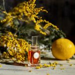 عطر ادکلن آکاسیوسا کارون - Acaciosa Caron - بررسی، قیمت و خرید