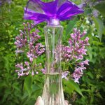 عطر ادکلن میوز اوریفلیم - Muse Oriflame - بررسی، قیمت و خرید