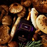 عطر ادکلن کوییر او دو پرفیوم مولینارد - Cuir Eau de Parfum Molinard - بررسی، قیمت و خرید