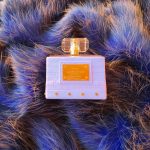 عطر ادکلن کوتور ویولت ورساچه - Couture Violet Versace - بررسی، قیمت و خرید