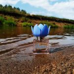 عطر ادکلن نینفیا بلومارین - Ninfea Blumarine - بررسی، قیمت و خرید