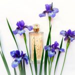 عطر ادکلن لِ کات سِزُن: پرَنتَمز اِم میکالف - Les 4 Saisons: Printemps M. Micallef - بررسی، قیمت و خرید