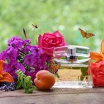 عطر ادکلن لاو این پاریس نینا ریچی - Love in Paris Nina Ricci - بررسی، قیمت و خرید