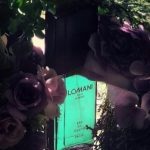 عطر ادکلن لومانی پور هوم لوُمانی - Lomani pour Homme Lomani - بررسی، قیمت و خرید