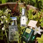 عطر ادکلن اُسیز د فلور ریتوالز - Oasis de Fleurs Rituals - بررسی، قیمت و خرید