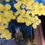 عطر ادکلن دیلیس کلاسیک کالکشن شماره ۳۷ دلیس پرفیوم - Dilis Classic Collection No. 37 Dilís Parfum - بررسی، قیمت و خرید