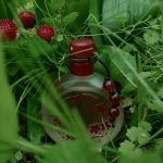 عطر ادکلن لاکی نامبر سیکس لیز کلایبورن - Lucky Number 6 Liz Claiborne - بررسی، قیمت و خرید