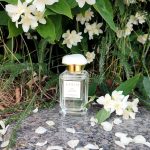 عطر ادکلن ایکَت جَسمین آرین - Ikat Jasmine Aerin - بررسی، قیمت و خرید