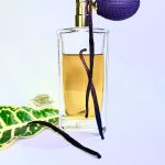 عطر ادکلن تانکا ایمپریاله گرلن - Tonka Imperiale Guerlain - بررسی، قیمت و خرید