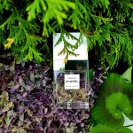عطر ادکلن گاردنیا شنل - Gardénia Chanel - بررسی، قیمت و خرید