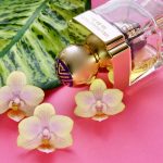 عطر ادکلن اورکید بلوم شانگهای تنگ - Orchid Bloom Shanghai Tang - بررسی، قیمت و خرید
