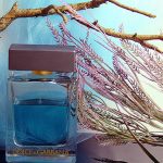عطر ادکلن ذ وان جنتلمن دولچه گابانا - The One Gentleman Dolce&Gabbana - بررسی، قیمت و خرید