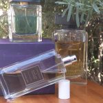 عطر ادکلن ذ وان جنتلمن دولچه گابانا - The One Gentleman Dolce&Gabbana - بررسی، قیمت و خرید