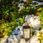 عطر ادکلن سول آو د فورست مِیزون مارتین مارژیلا - Soul Of The Forest Maison Martin Margiela - بررسی، قیمت و خرید