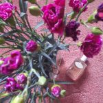 عطر ادکلن اینفیوژن دو ایه‌یه پِرادا - Infusion d'Oeillet Prada - بررسی، قیمت و خرید