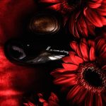 عطر ادکلن مون نوم اِس روژ ماجدا بیکالی - Mon Nom est Rouge Majda Bekkali - بررسی، قیمت و خرید