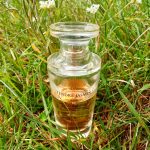 عطر ادکلن تندر جاسمین ایوروشه - Tendre Jasmin Yves Rocher - بررسی، قیمت و خرید