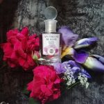 عطر ادکلن مونوتمه کلاسیک آپوتئوس دو رز پور فم مارکس اند اسپنسر - Monotheme Classic Apothéose de Rose Pour Femme Marks & Spencer - بررسی، قیمت و خرید