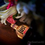 عطر ادکلن جاست کاوالی روبرتو کاوالی - Just Cavalli Roberto Cavalli - بررسی، قیمت و خرید