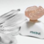 عطر ادکلن پی‌وین ایو روشه - Pivoine Yves Rocher - بررسی، قیمت و خرید
